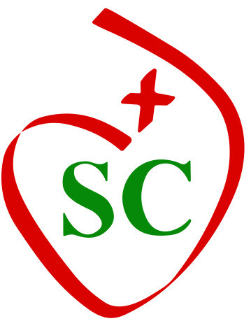 AULA VIRTUAL SC JAEN